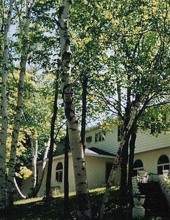 White Birch Inn Sturgeon Bay Zewnętrze zdjęcie